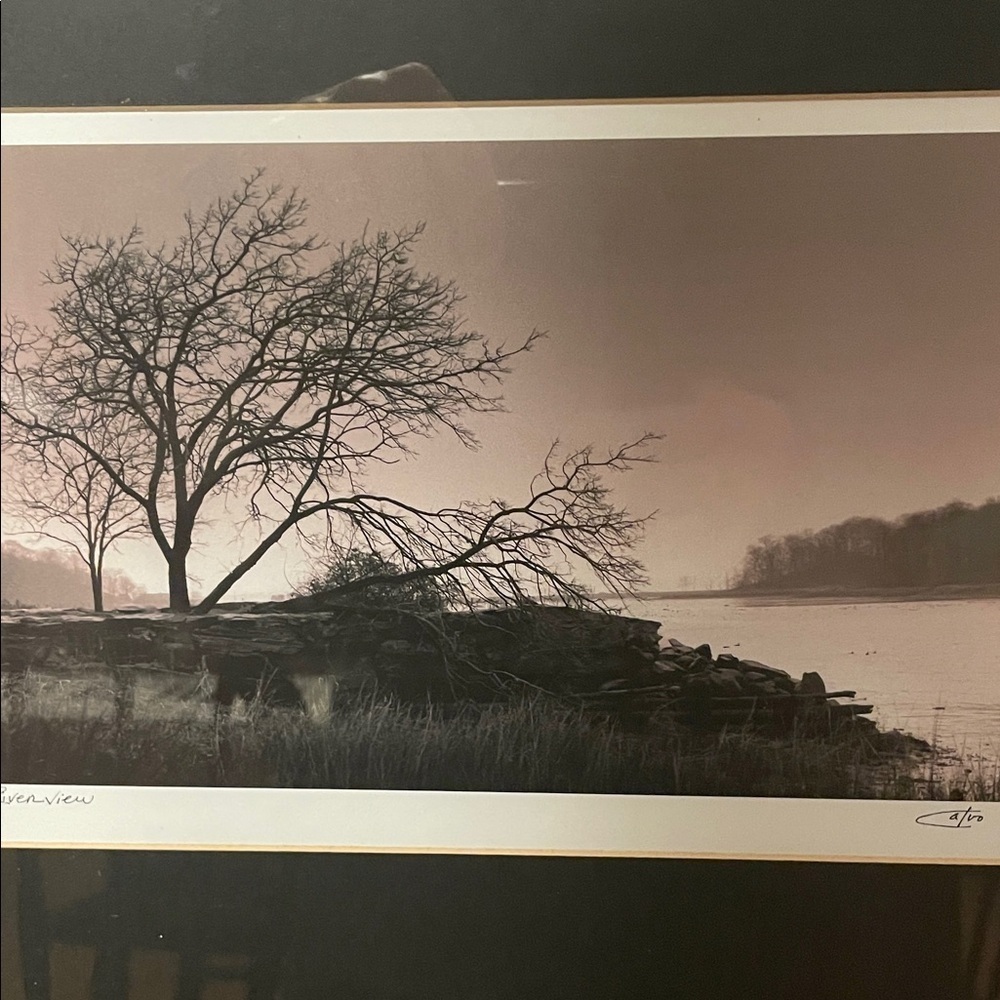 Richard Calvo Riverview Professional Framed Black and White Tree Photograph - Picture 4 of 10